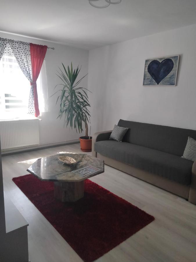 Apartament Geo 内霍瓦 外观 照片
